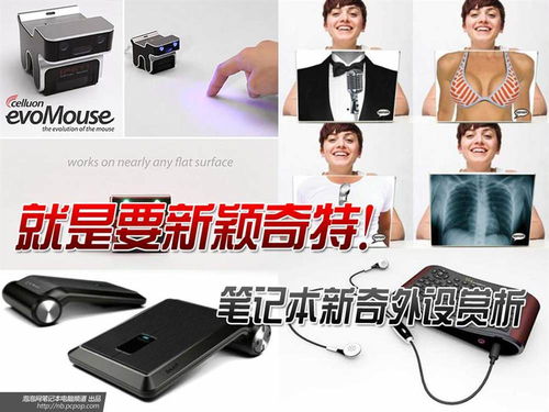 就是要新颖奇特 笔记本新奇外设赏析